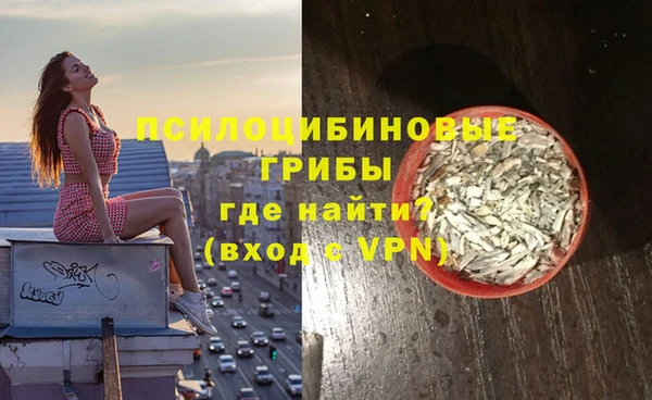мдпв Абаза